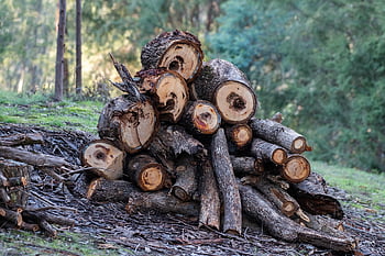 Holz, Holzstapel, protokolliert, Brennholz, Haufen, Bauholz, Stapel