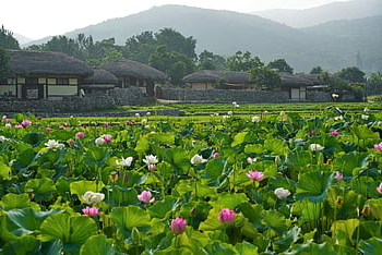 Korea, tradice, Soul, tradiční, kultura, Příroda, jaro, cestovat, hanok, korejština, dlaždice dům