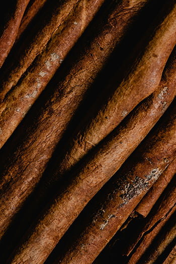 bastoncini di legno marrone, bastoncini di cannella, trama aromatica, Texture legnosa, Primo piano dettagliato, Sticchi alla cannella marroni, Spezia, ingredienti naturali, erbe culinarie, spezie aromatiche, aroma legnoso