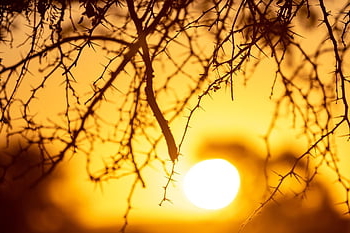 západ slunce, namibie, Afrika, poušť, sahara, Příroda, písek, safari, suchý, národní park, duna
