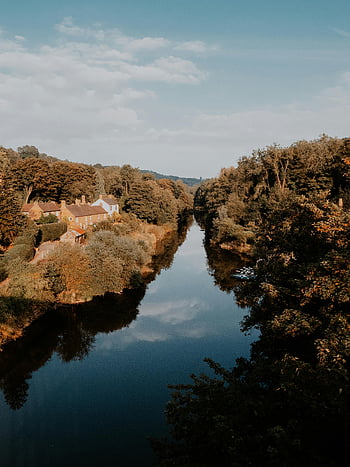 tranquil autumn forest, calm river, natural beauty, serenity, landscape, reflection, autumn trees, riverbank, rural scene, countryside, serene environment