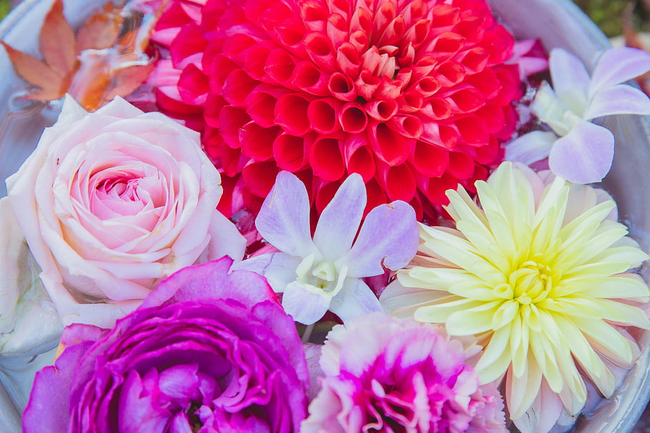 colorful flowers, fresh flowers, flowers in water, water bowl, assorted flowers, decorative flowers, close-up flowers, vibrant flowers, floral arrangement, water decor, pot of flowers