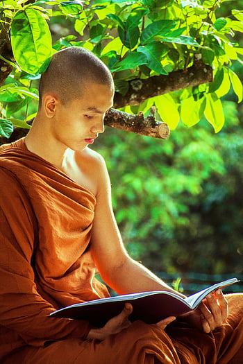 young Buddhist monk, reading book, outdoors, under tree, spirituality, tranquility, monk, tree, book, nature, meditation