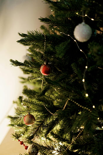 Noel ağacı, yeşil yılbaşı ağacı, kırmızı baubles, gümüş baubles, Sıcak peri ışıkları, yakın çekim fotoğraf, süslenmiş noel ağacı, kapalı Noel ağacı, tatil dekoru, bayram süslemeleri, Noel süsleri