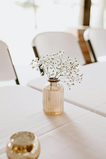 유리 꽃병, 흰색 피는 꽃, gypsophila, 질감의 꽃병, 우아한 테이블 세팅, 결혼식 이벤트, 흰 식탁보, 꽃꽂이, 장식 꽃병, 실내 이벤트, 흰 꽃
