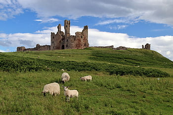 dunstanburgh hrad, hrad, ruiny, zchátralý, pevnost, citadela, kamenné práce, zdivo, středověký, historický, budova