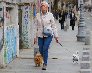 woman, adult, casual, pets, dogs, small, walking, sidewalk, street, urban, lifestyle