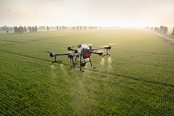 dji, trubec, drone na ochranu rostlin, zemědělské půdy, zemědělství, Moudrost Zemědělská, Chytré zemědělství, Prevence much, Stroj na ochranu rostlin, zemědělských dronů, Letadla pro boj s drogami