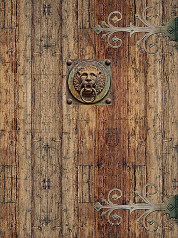 door, opening, portal, wood, knocker, nature, lion, head, hinges, fancy, antique