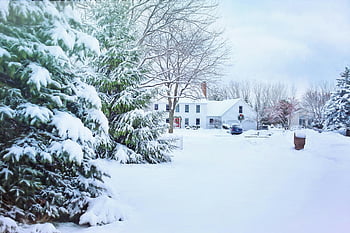 snedækket hus, frostede træer, snedækkede kvarter, hyggeligt hus, vinter scene, snedækkede træer, vinterlandskab, vinter hjem