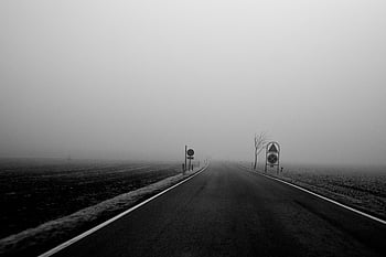 în tonuri de gri, drum, cea mai slabă cale, Câmpuri de ceață, alb-negru, Teme de călătorie, fotografie peisaj, Fotografie atmosferică, rural, drum liber, Atmosfera de ceață