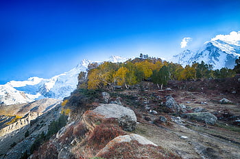 Fährwiesen, Nanga Parbat Aussichtspunkt, Gilgit Baltistan, schönes pakistan, Natur, nördliche Gebiete von Pakistan, Pakistan, Landschaft, Berge, Gilgit, Norden