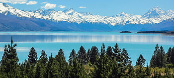 Lake Tekapo, snow-capped mountains, evergreen forests, tranquil waters, daytime, green pine trees, body of water, stunning view, New Zealand, natural landscape, mountain reflection