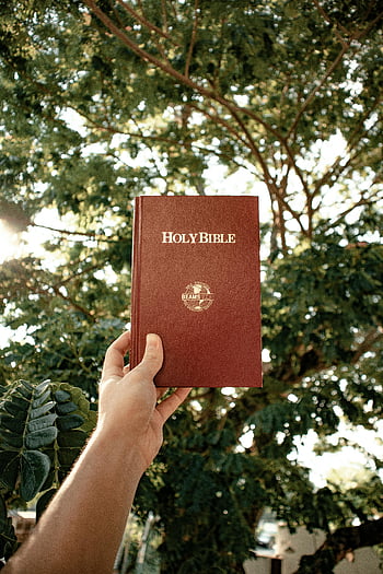 Bijbel vasthouden, heilige bijbel, buiten foto, weelderige groene bladeren, bomen, Handhoudende boek, religieus boek, natuur achtergrond, spiritueel lezen, Faith Image, Bijbel studie