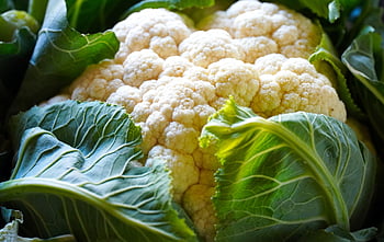 cauliflower, vegetable, food, fresh Vegetable, harvest, produce