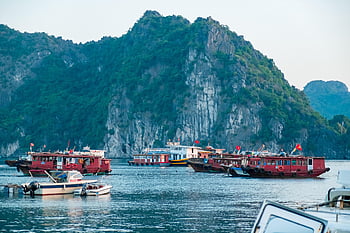 záliv Halong, záliv, lodí, Vietnam, hory, moře, útesy, ostrovů, plavidel, oceán, ukotvena