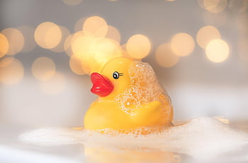 rubber Duck, toy Duck, bath, duck, wet, soap Bubble, cute