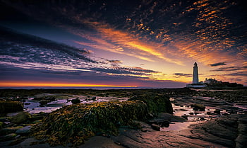 St Mary's Lighthouse, St Mary's Island, sunset, vibrant sky, scenic shot, lighthouse, rocky shore, coastal view, Northumberland, England, sea view
