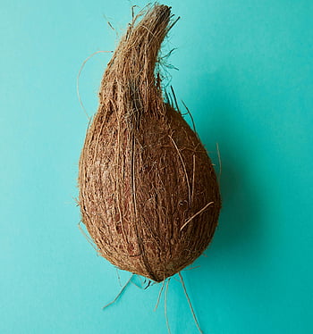 kokosový ořech, čerstvý kokos, hrubá textura, modré pozadí, Celý kokos, hnědý kokos, zářivé modré, minimalistický styl, kokos na modré, Kokosová textura, kokosový povrch