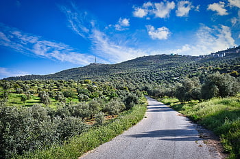 mag eerst jerash, Jordanië, natuur, landschap, hemel, boom, haarlok, Bos, blauwe bos