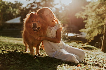 lány átölelve a kutyát, bolyhos kutya, chow chow, fehér ruha, Fényes nyári nap, park, füves terület, fiatal lány, napos nap, kültéri fotó, kedvtelésből tartott szerelem