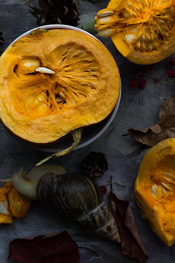 syksy, kurpitsa, etana, halloween, poikkileikkaus, avattu, vihannekset, sato, kausi, ravitsemus, ruokavalio
