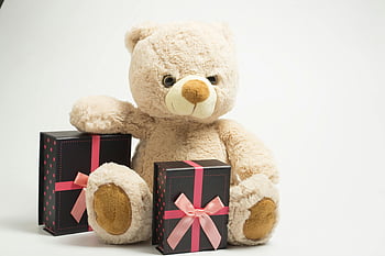 juguete de lujoso de oso marrón, oso de peluche, cajas de regalo, cintas de color rosa, celebraciones, adorable, Peluche, presenta, festivo, juguete de peluche, linda