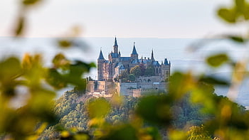 hrad, kopec, stromy, hory, věže, budova, architektura, opevnění, citadela, pevnost, ruiny