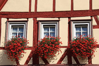 house, residential Building, building, facade, half-timbered House, architecture, windows, half-timbered Facade, half-timbered Construction, germany, flowers