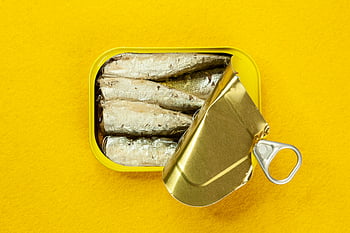 sardines, can of sardines, yellow background, freshly opened, bold yellow, contrast, canned fish, food photography, sardine can, top view, minimalistic design