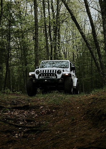 džíp, auto, automobil, vozidlo, les, terénní, 4x4, kovboj, honák, Zvyk, bílý, dobrodružství