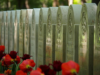 national Cemetery, tombstone, military, war, memory, sacrifice, history