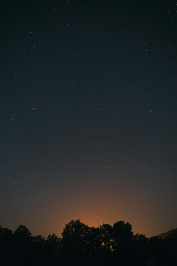 night sky, silhouette trees, tranquil night, glowing horizon, vast expanse stars, night photography, starry sky, night landscape, tree silhouette, night scene, peaceful night