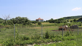 Hrad Pekry-Radak, Ozd, 17. století, opuštěný, Státní majetek, Bonus Pastor Foundation, terapeutické centrum, Víceúčelové centrum, zelené pole, plot, stromy