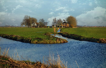 louka, pastviny, pastvina, venkov, venkovský, vodní cesty, hospodařit, stromy, krajina, Holandsko, ransdorp