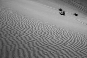 grass, nature, landscape, desert, sand, wind, iran, kashan, minimal, shadow