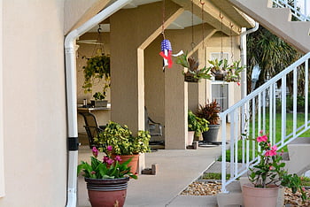 porch, stairs, patio, house, florida, plant, planter, flower, window
