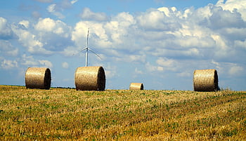 Getreidefeld, Strohballen, Ernte, Feld, Landwirtschaft, Stoppel, runde Bälle, Heuballen, Stroh Rolle, geerntet