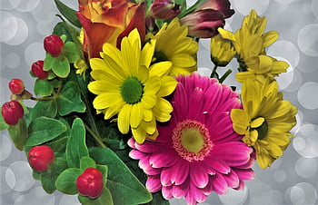 flower, bunch Of Flowers, gerbera, asters, cut Flowers, colorful Flowers, yellow, red, colorful, floral Decorations, nature