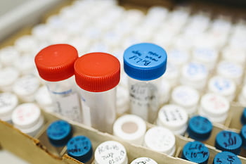 zkumavky, laboratoř, vědecký výzkum, barevně kódované víčka, červená čepice, Modré čepice, zaměřený pohled, laboratorní vybavení, Výzkumné snímky, vědecká laboratoř, vzorky zkumavky