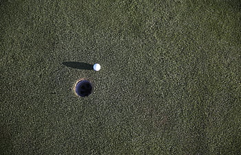 golf ball, hole, manicured golf course, green grass, close-up shot, golf course green, white ball, golf hole, putting green, golf sport, outdoor game