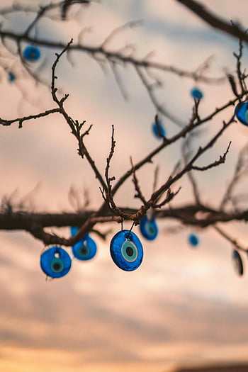 evil eyes, tree branches, sunset, Cappadocia, Turkey, evil eye charms, close-up, stunning sunset, blue charms, hanging charms, tree decorations