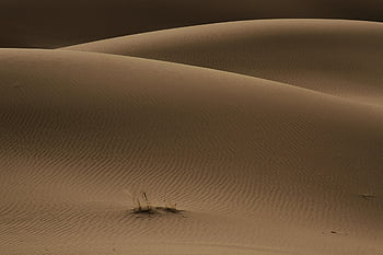 desert, sand, nature, minimal, iran, landscape, kashan, minimalism