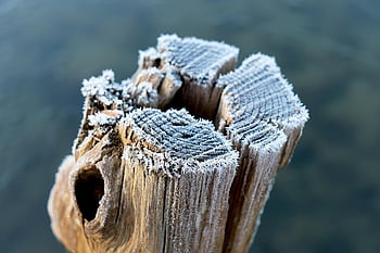 post, fields, agriculture, old, rotten, frost, frozen White, ice Crystals, aesthetic, winter, cold