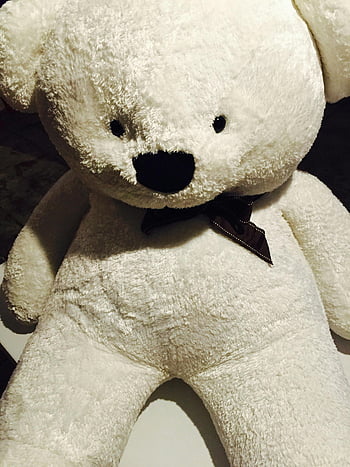 valkoinen nallekarhu, uhkea, ruskea rusetti, ihana, lahjat, sisustus, pehmolelu, pehmeä lelu, pehmoinen, täytetty karhu, Teddy Bear Pehmo