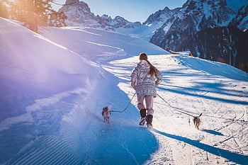 dogs, path, snow, to Stroll, nature, human, person, winter