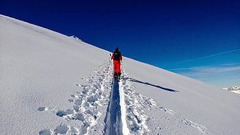 backcountry lyžování, sníh, lyže, zimní, lyžovat, Alpy, hory, zimní sporty, zimní krajina, vysokohorský, Příroda