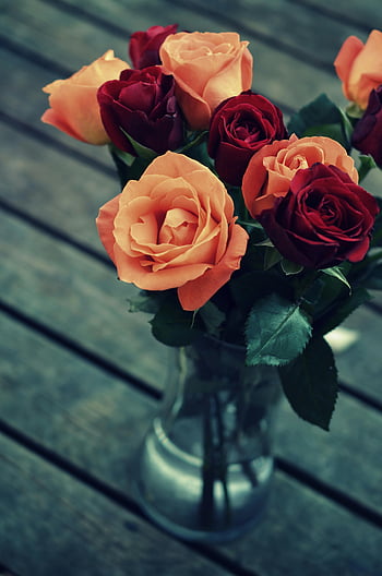 roses rouges, roses oranges, vase en verre clair, table en bois, bouquet, arrangement floral, image de fond, fleurs vibrantes, fleurs romantiques, fleurs décoratives, beauté naturelle