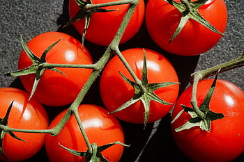 pomodori, rosso, salutare, verdure, cibo, cucinare, pasto, macro, italiano, delizioso, buon appetito