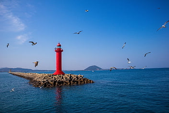 νησί της, φύση, Νότια Κορέα, θάλασσα, ωκεανός, χειμώνας, jeju, Κορέα